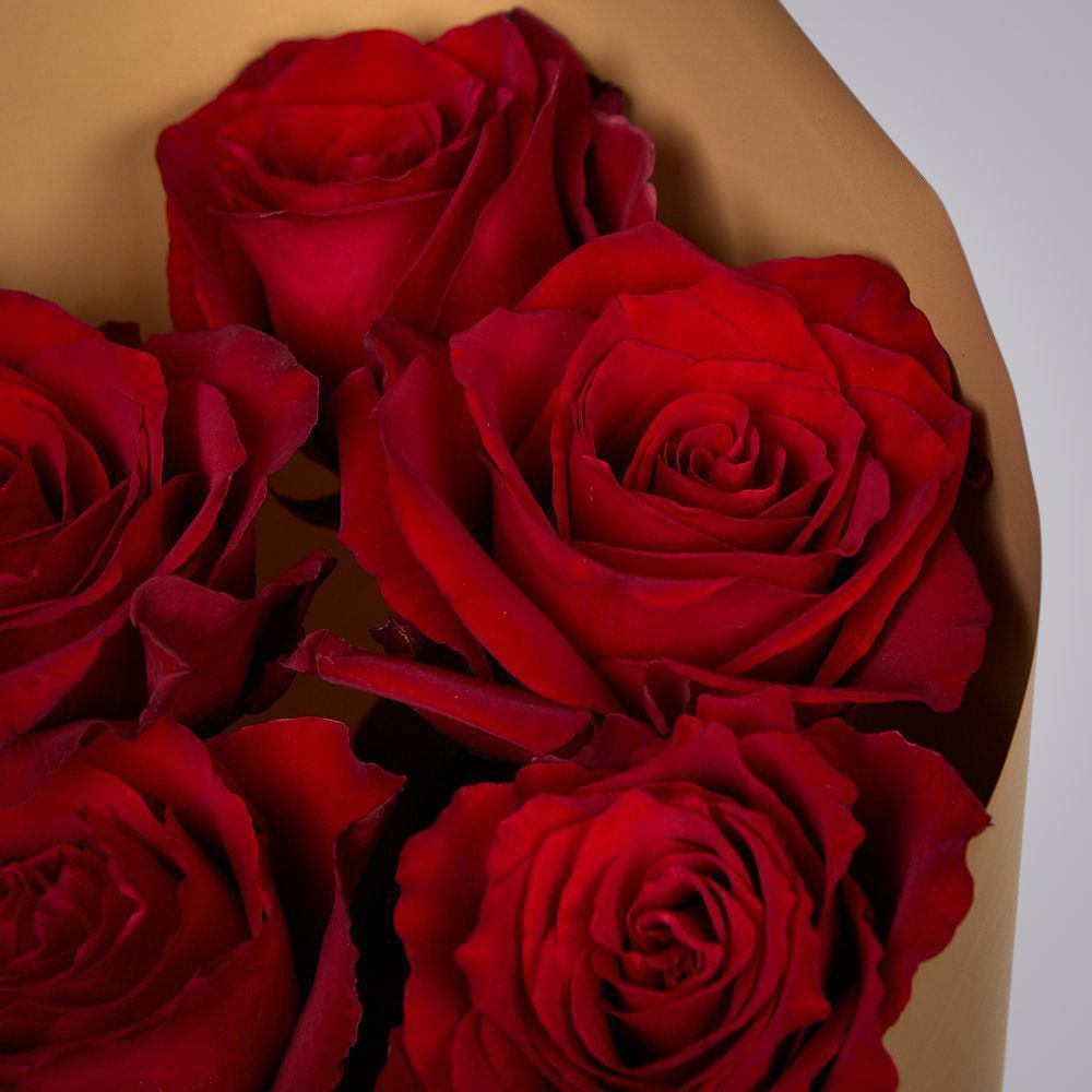 монобукет из 5 роз "explorer" в упаковке 