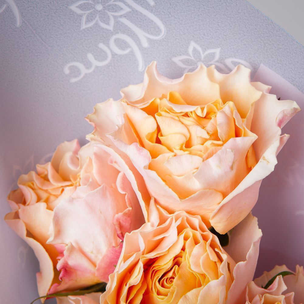 монобукет 5 пионовидных роз "campanella" в упаковке 