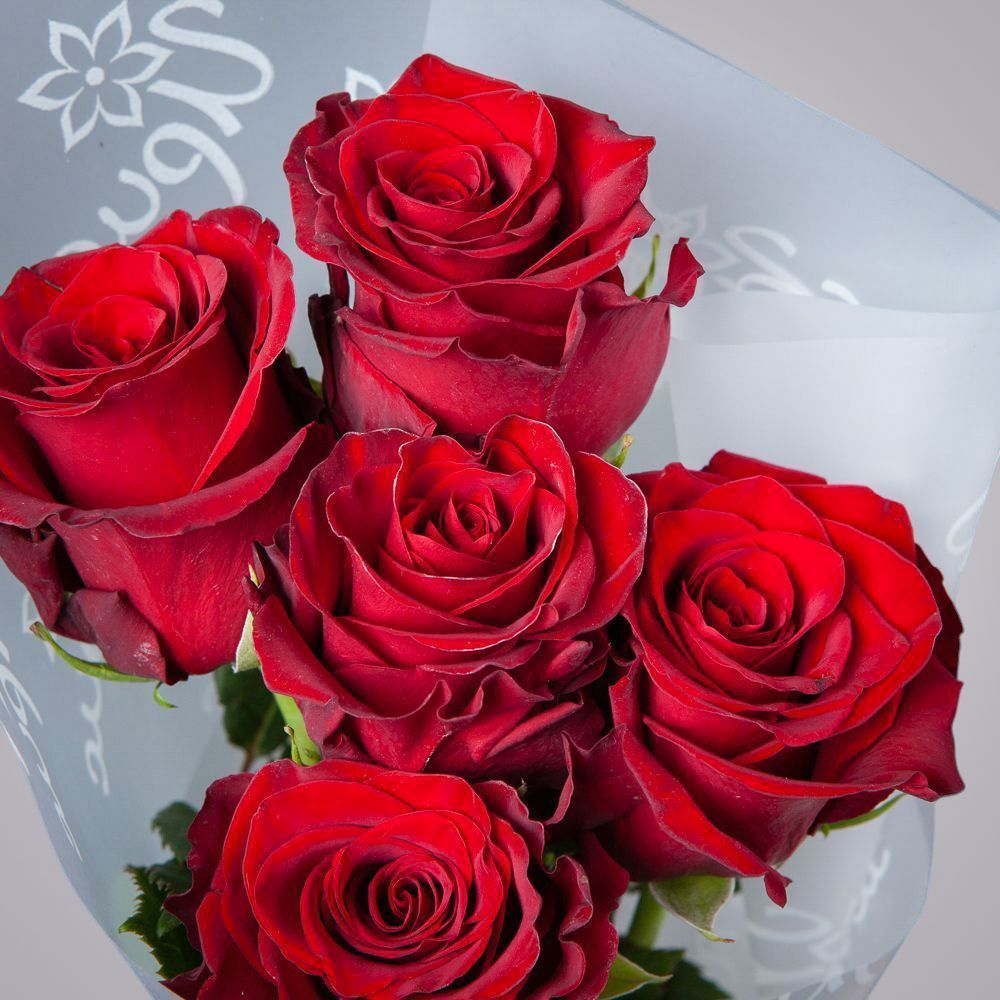 монобукет 5 роз "explorer" в упаковке 