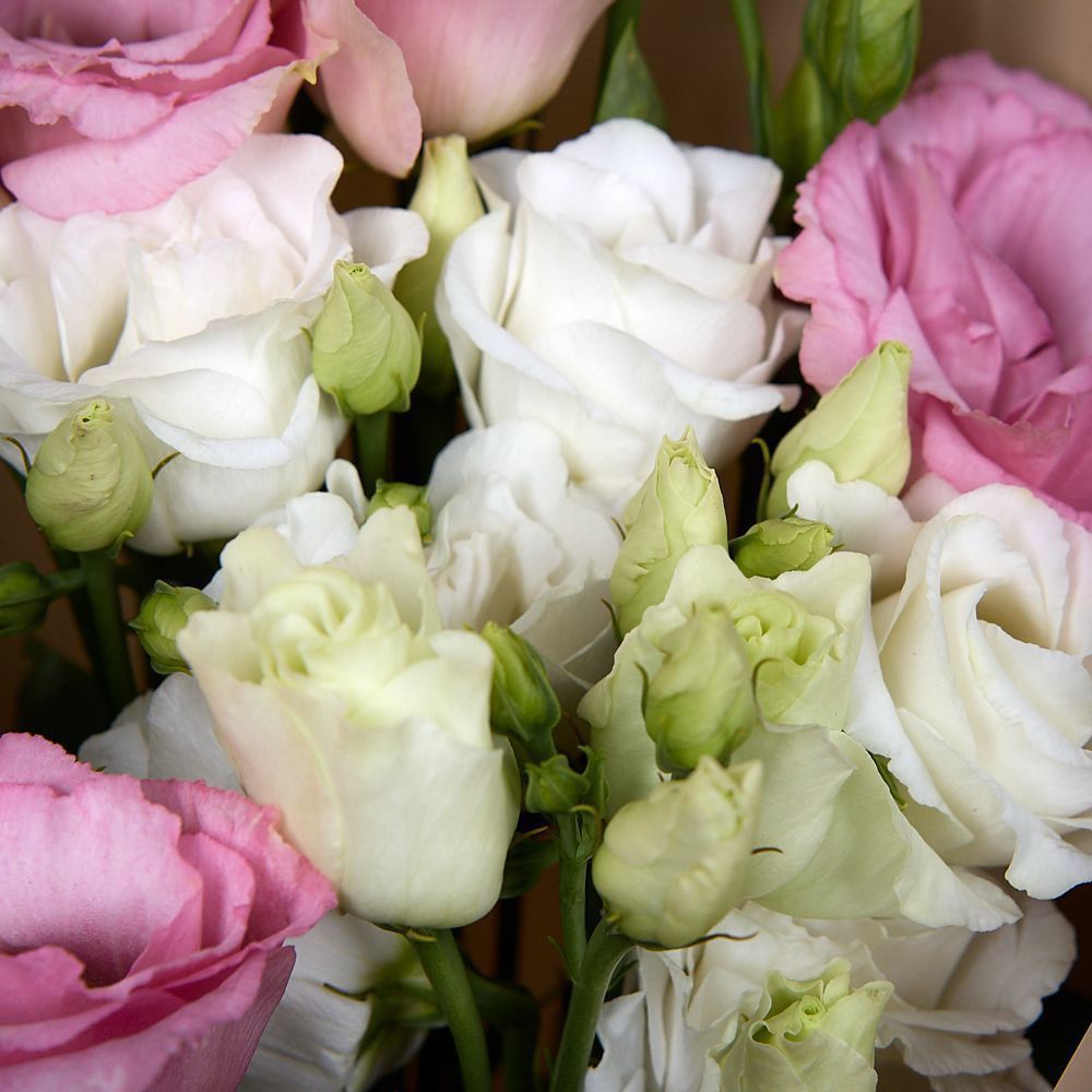 монобукет из 5 лизиантусов микс в упаковке 