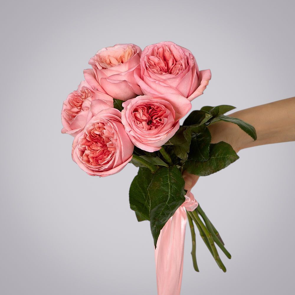 монобукет 5 пионовидных роз "pink x-pression" под ленту 