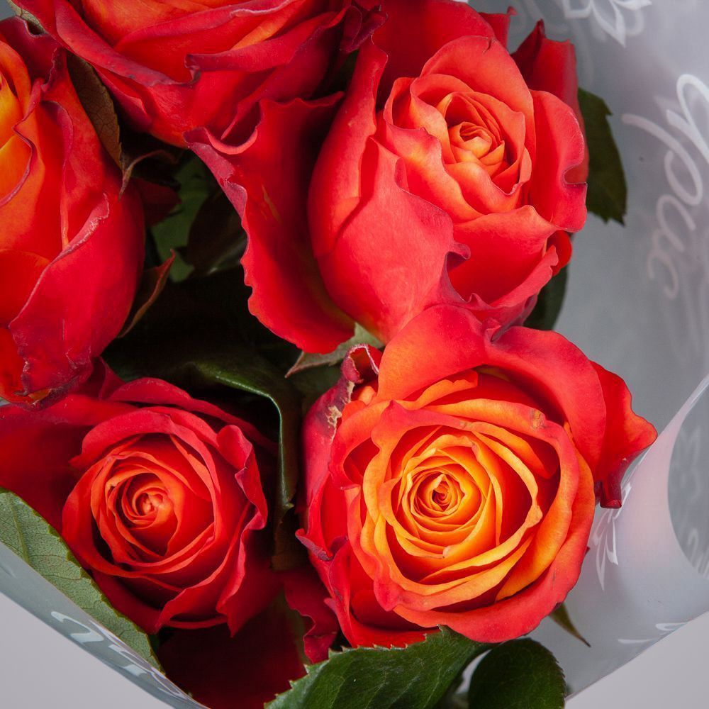 монобукет 5 роз "atomic" в упаковке 