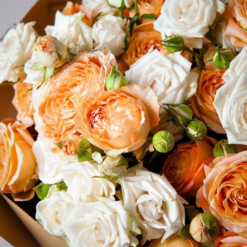 монобукет 15 кустовых роз в упаковке с тишью 