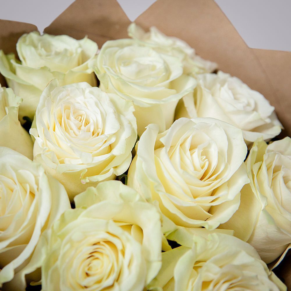 монобукет 11 роз mondial в крафте 