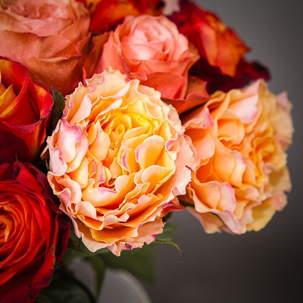 монобукет из 21 роз микс-2 под ленту 