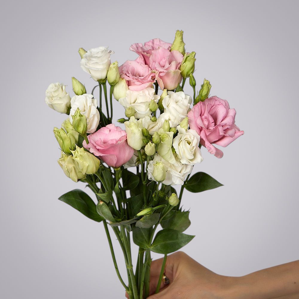 монобукет из 5 лизиантусов микс под ленту 