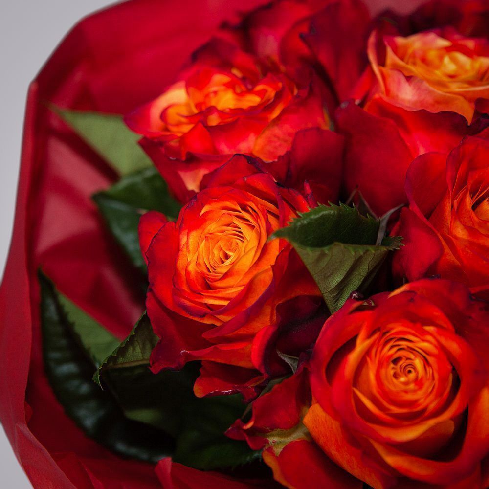 монобукет 9 роз "atomic" в упаковке с тишью 