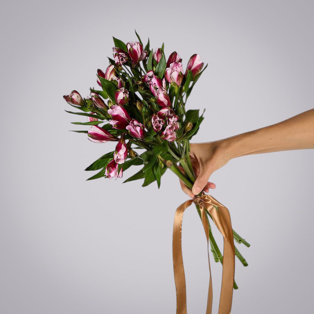 монобукет из 5 малиновых альстромерий под ленту 