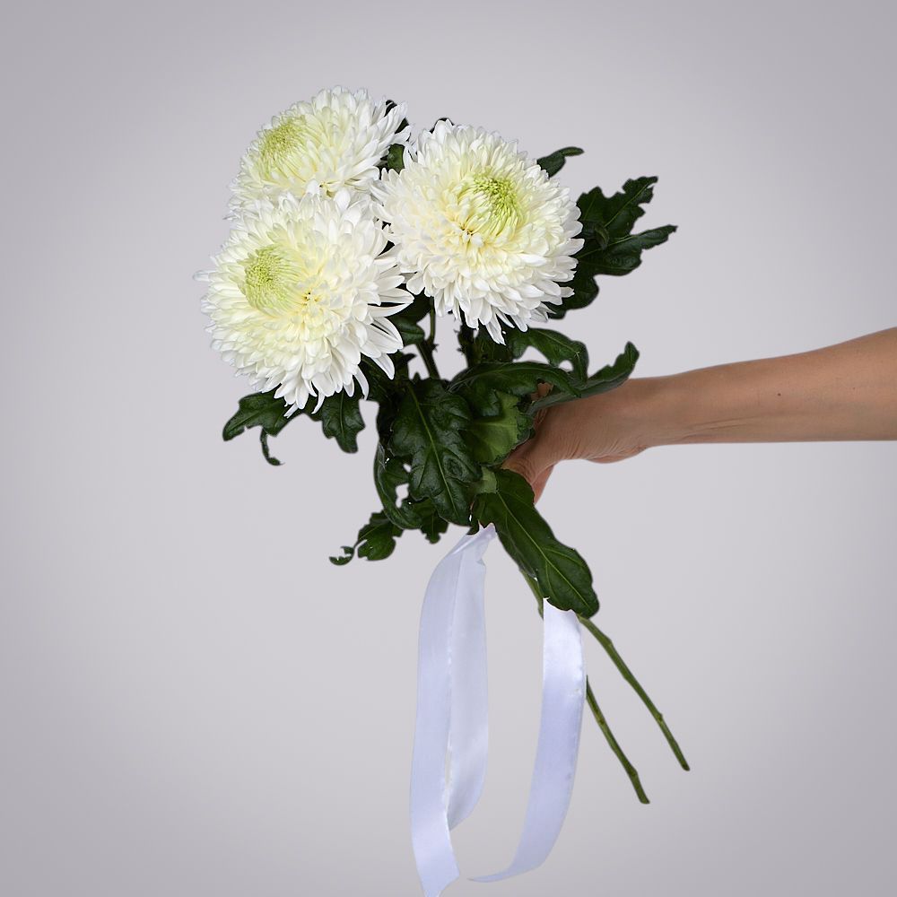 монобукет из 3 белых хризантем magnum под ленту 