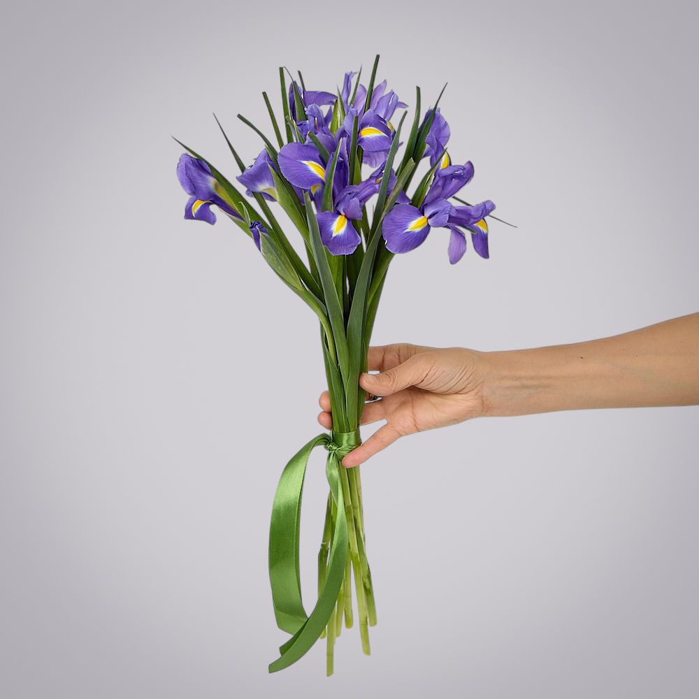 монобукет из 9 синих ирисов под ленту 