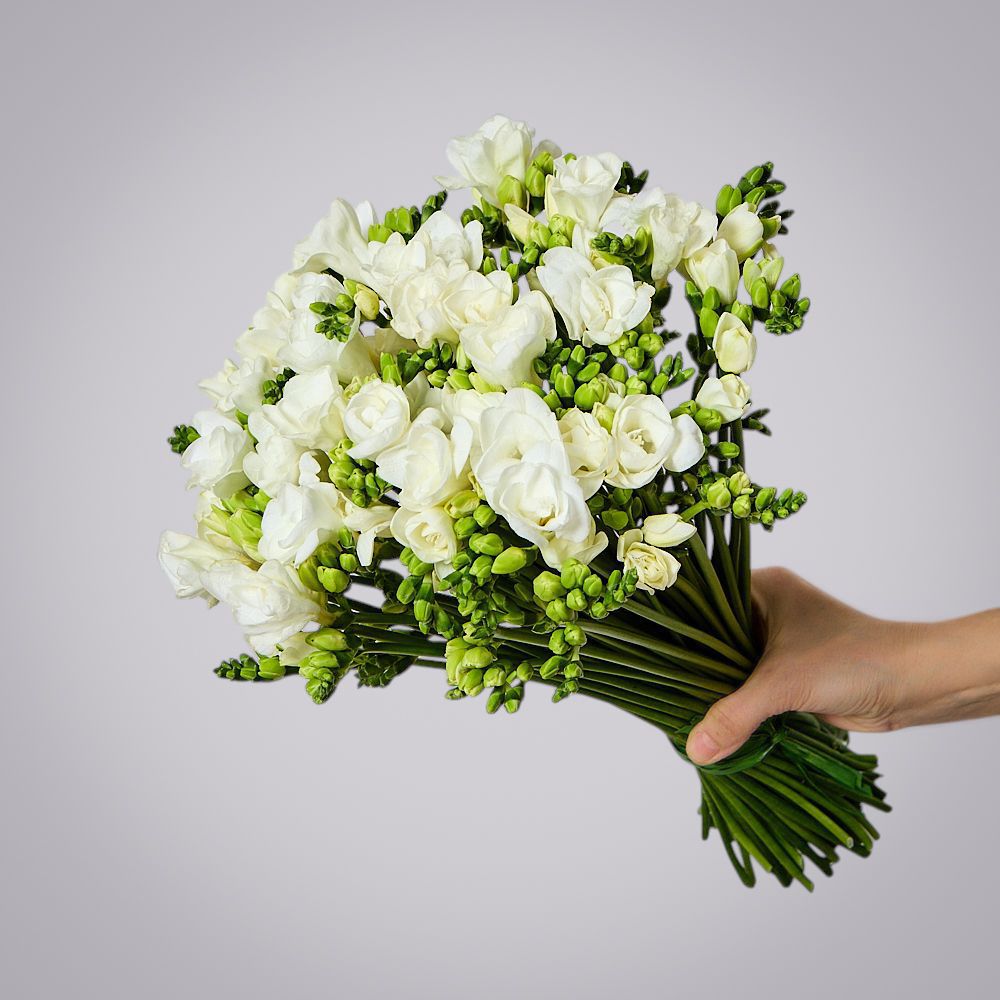монобукет из 49 белых фрезий 