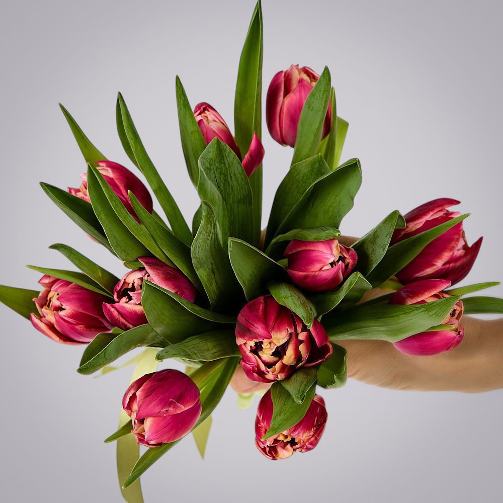 монобукет из 11 тюльпанов "каламбус" под ленту 