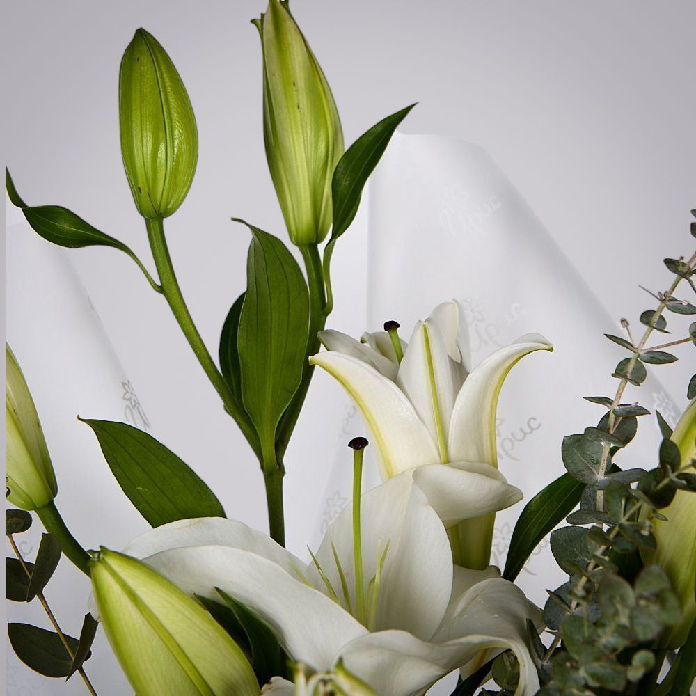 монобукет из белых лилий с эвкалиптом  