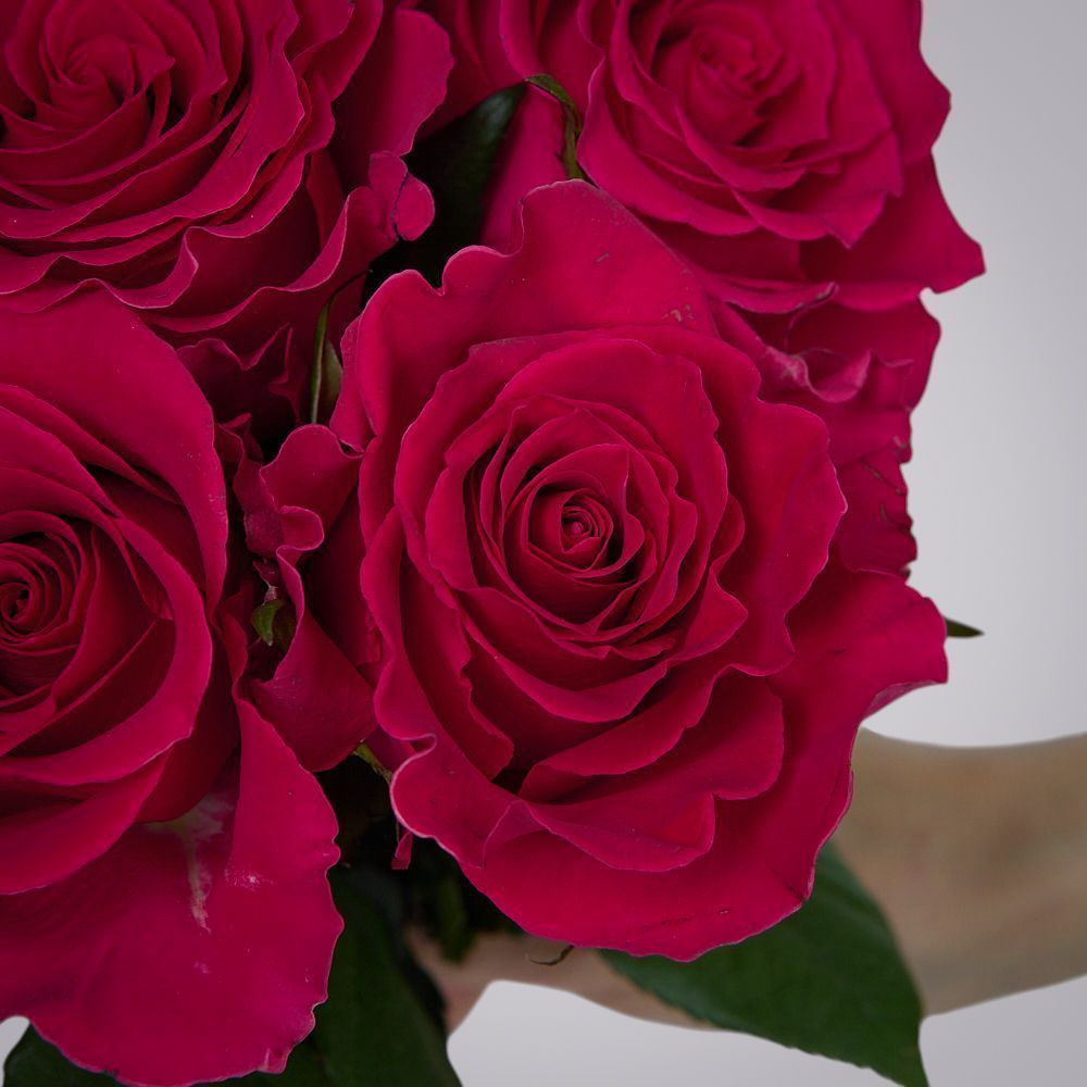 монобукет 7 роз "gotcha" под ленту 