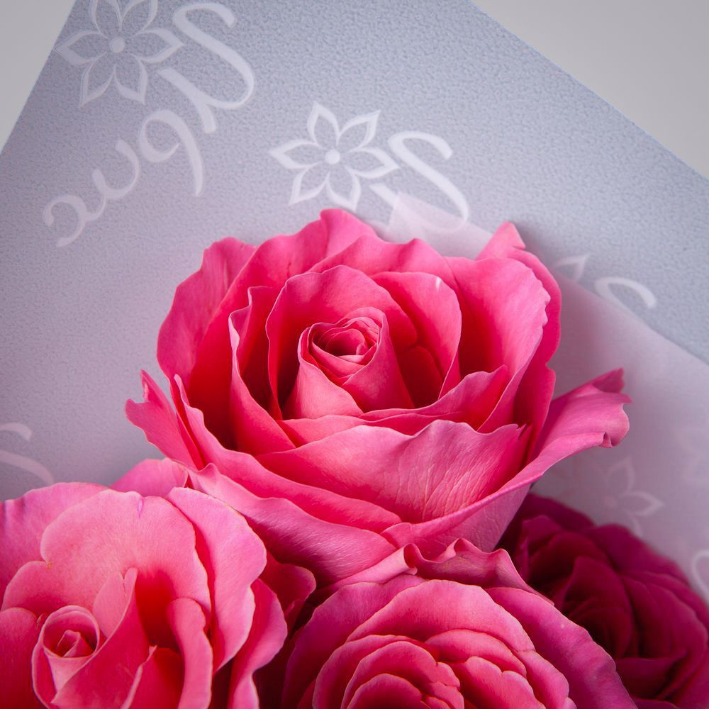 монобукет 5 роз "pink floyd" в упаковке 