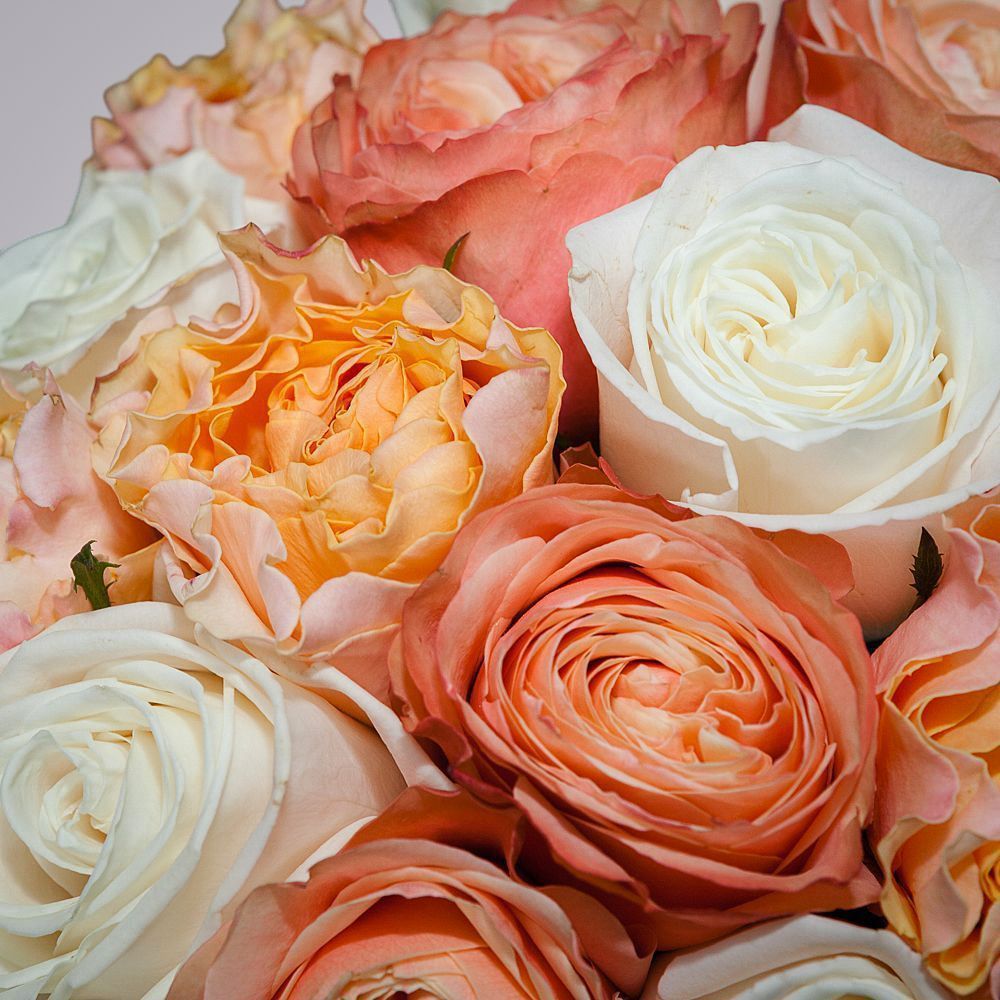 монобукет из 21 роз микс-4 под ленту 