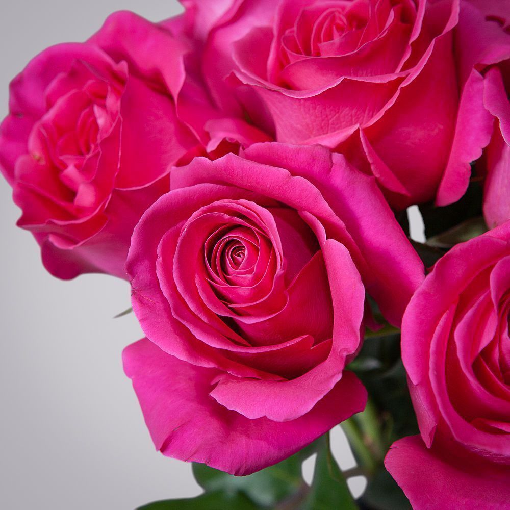 монобукет 9 роз "pink floyd" под ленту 