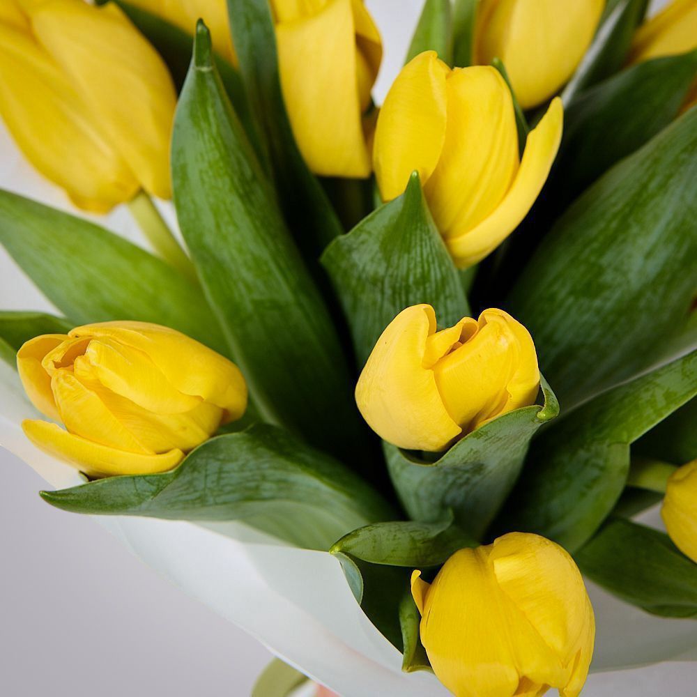 монобукет из 11 желтых тюльпанов в упаковке 