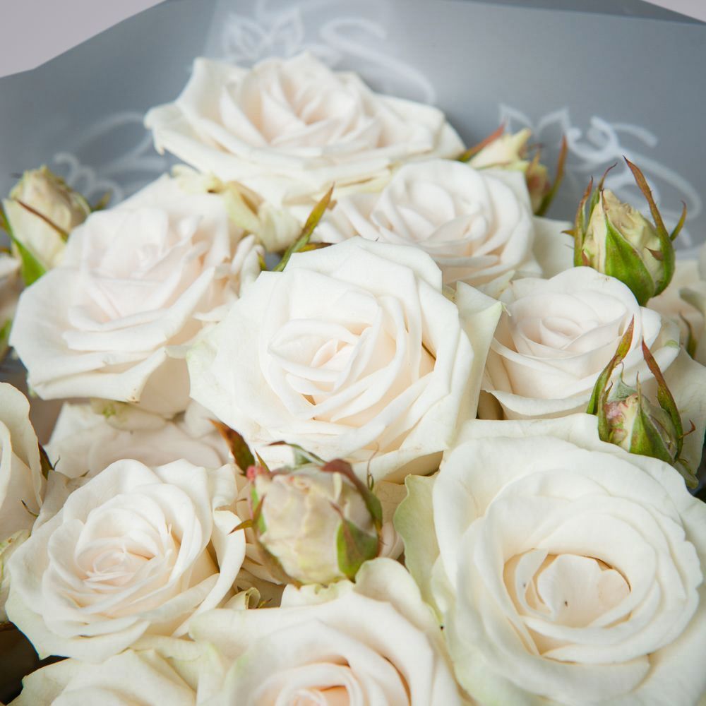 монобукет 5 кустовых роз "royal porcelaine" в упаковке 