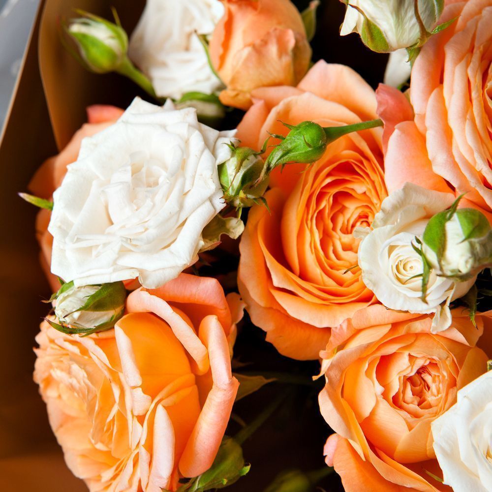 монобукет 9 кустовых роз в упаковке с тишью  монобукет 9 кустовых роз в упаковке с тишью