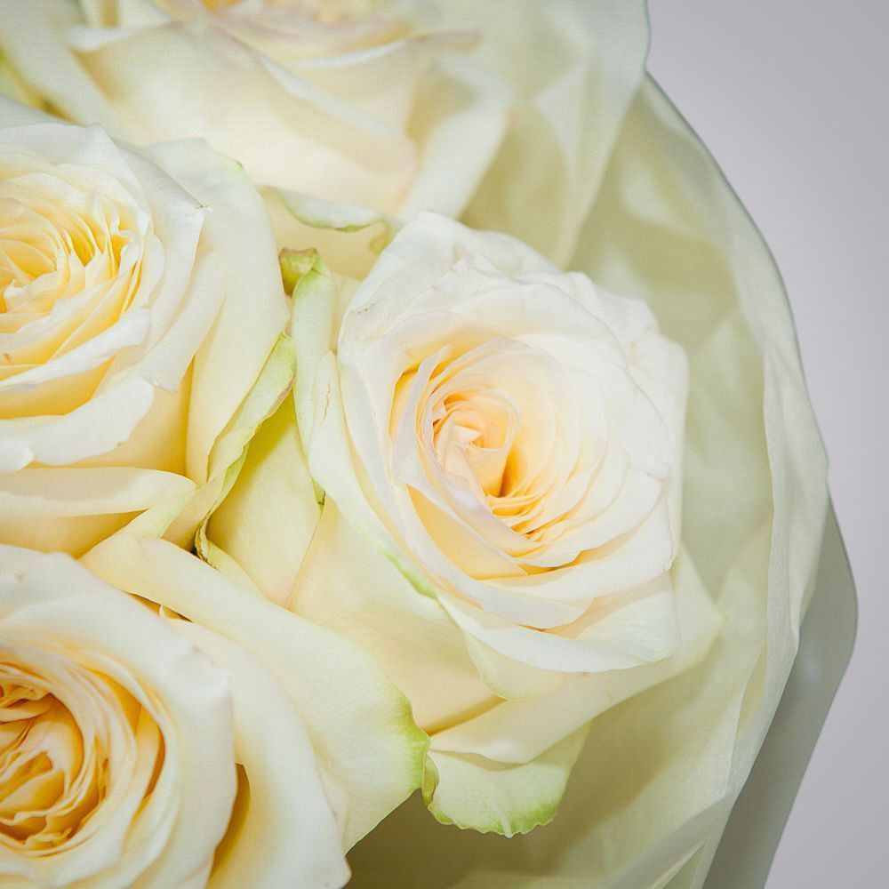 монобукет 11 пионовидных роз "candlelight" в упаковке с тишью 2 