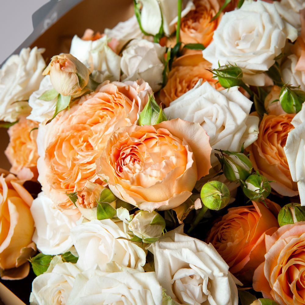 монобукет 15 кустовых роз в упаковке с тишью 