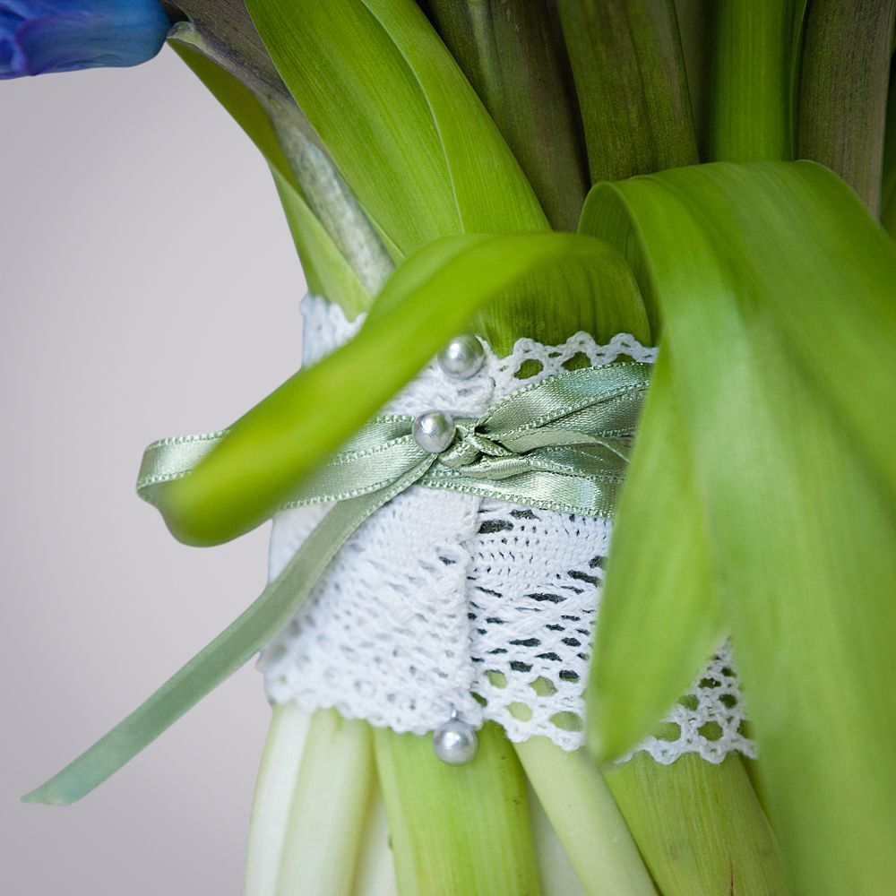 монобукет синие гиацинты 25 шт под ленту 