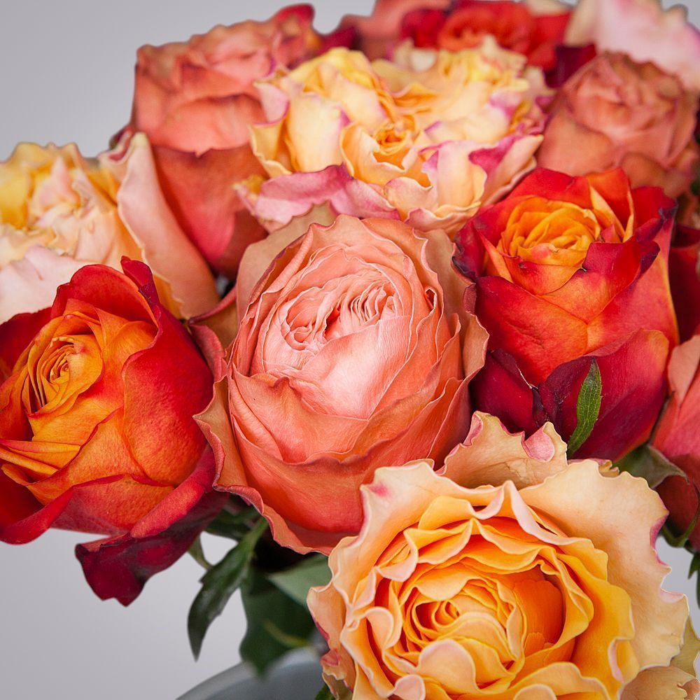 монобукет из 15 роз микс-7 под ленту 