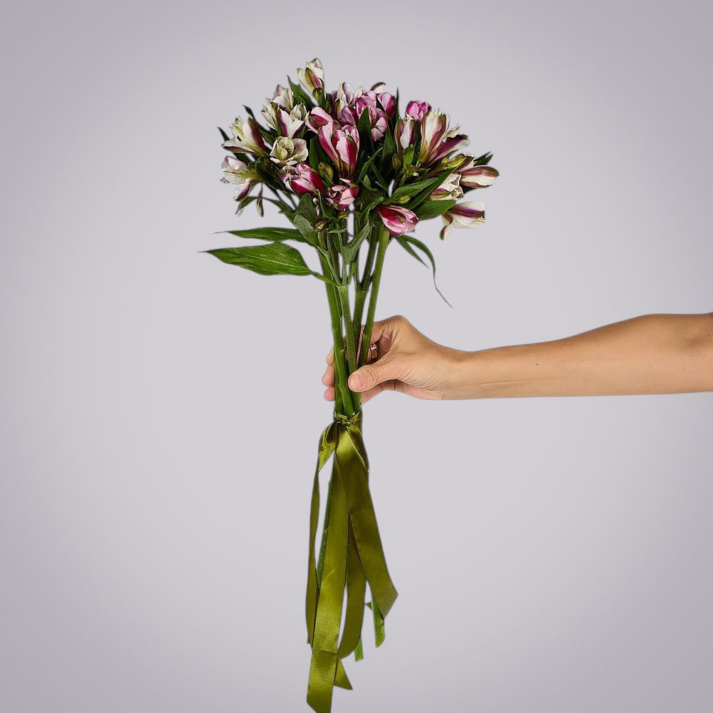 монобукет из 5 альстромерий микс под ленту 