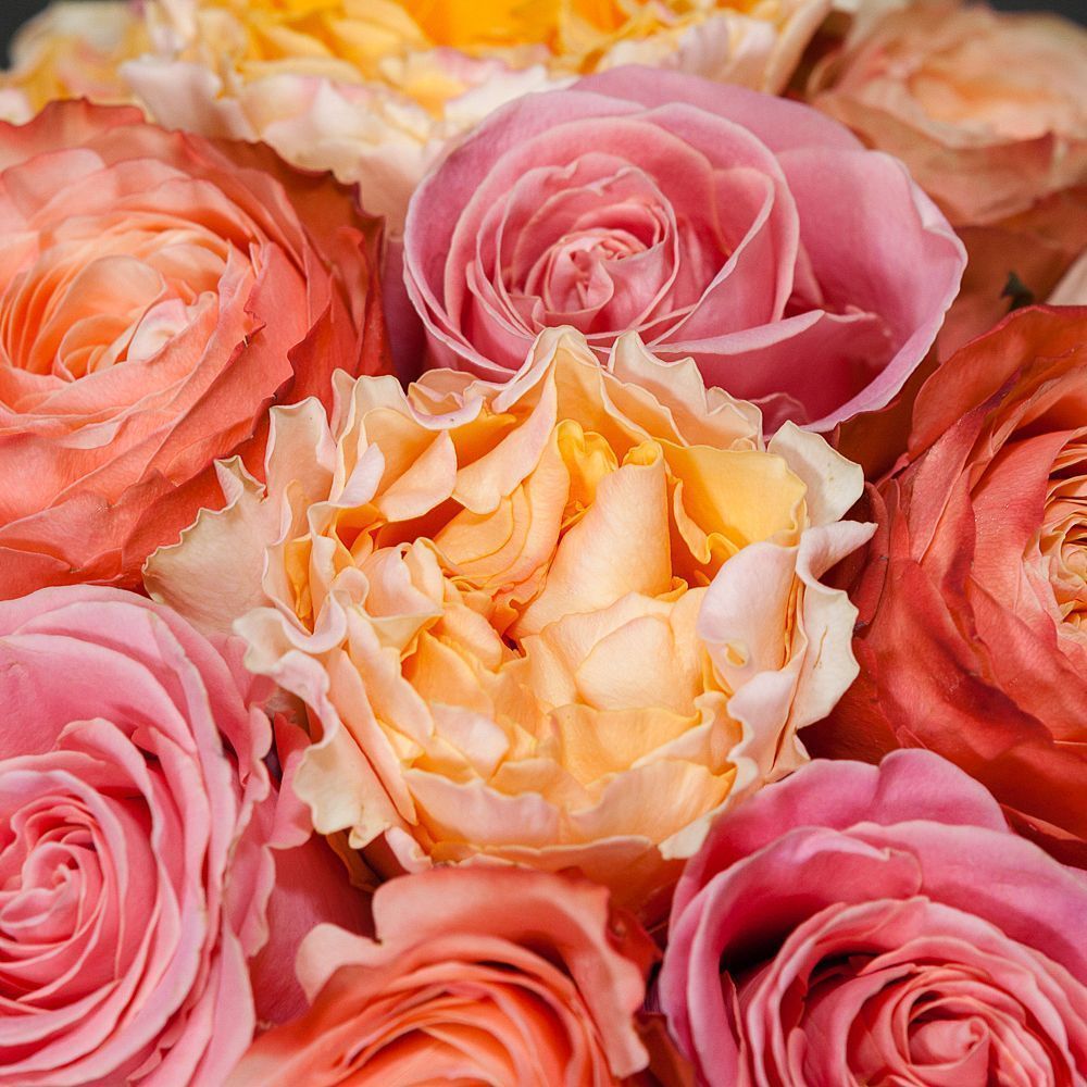 монобукет из 21 роз микс-7 под ленту 