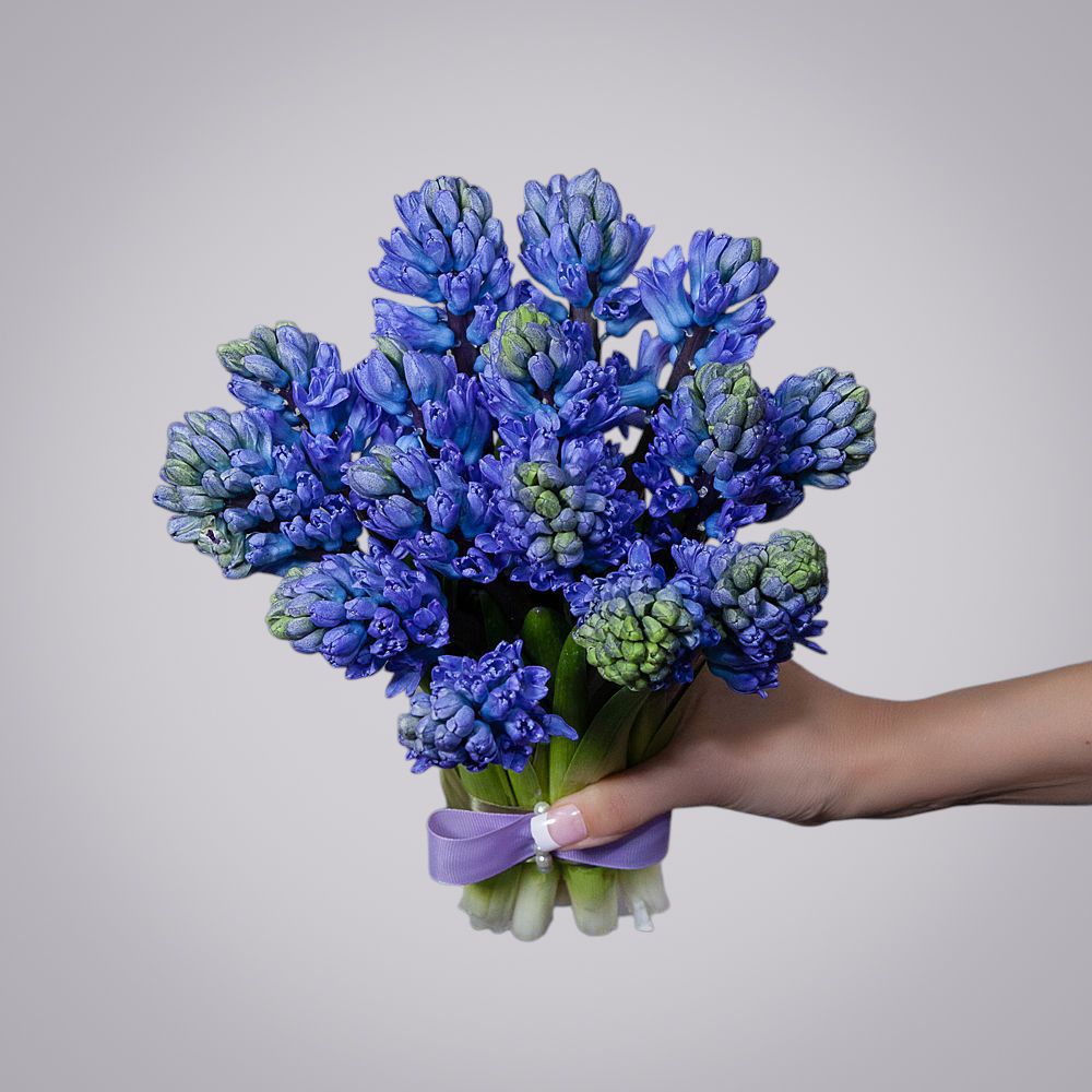 монобукет из 15 синих гиацинтов 