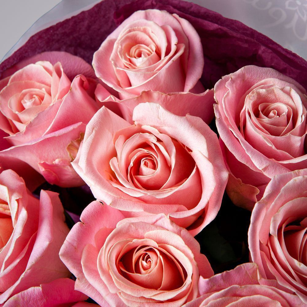 монобукет из 11 роз "hermosa" в упаковке с тишью 