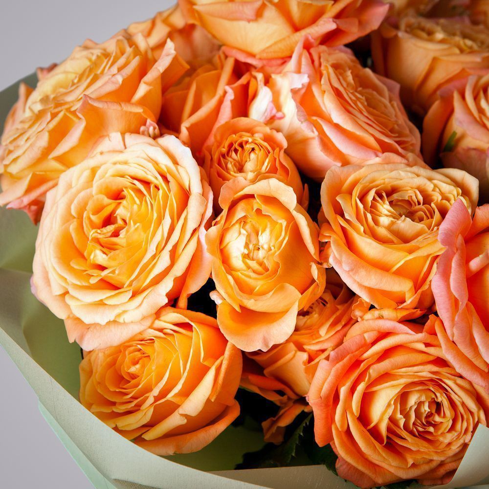 монобукет 11 кустовых роз "apricot lace" в упаковке  монобукет 11 кустовых роз "apricot lace" в упаковке