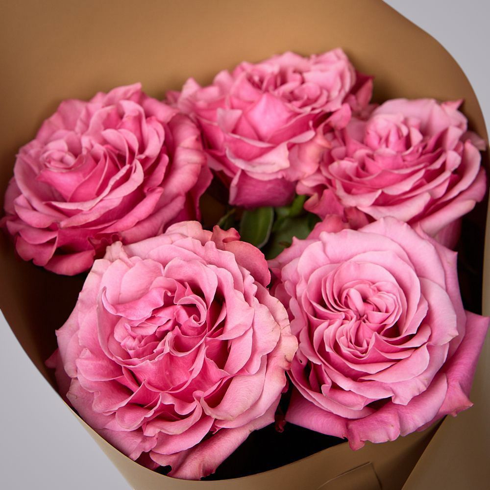 монобукет из 5 пионовидных роз “country blues” в упаковке 