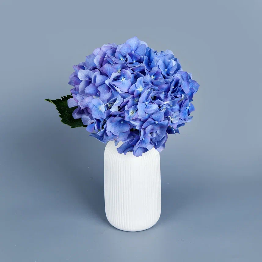 ваза m керамика с голубой гортензией 