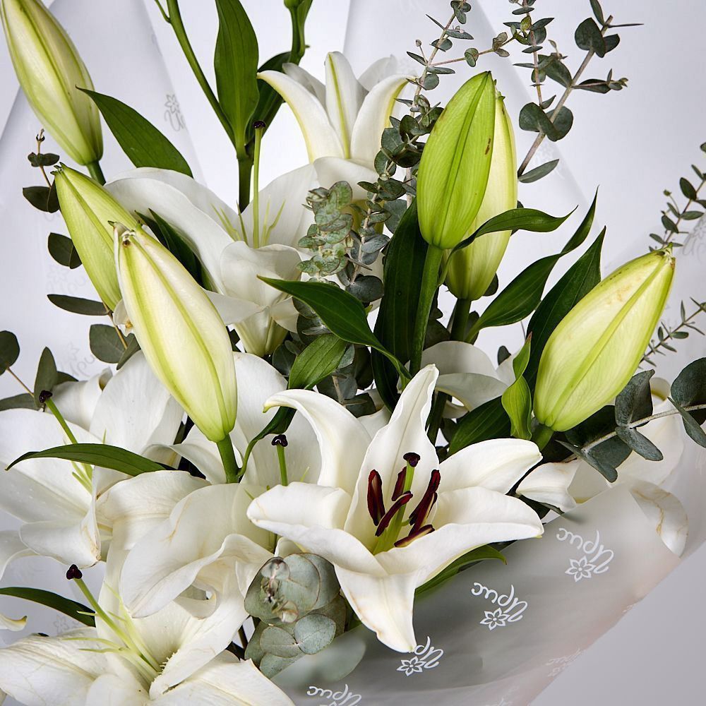 монобукет из белых лилий с эвкалиптом  