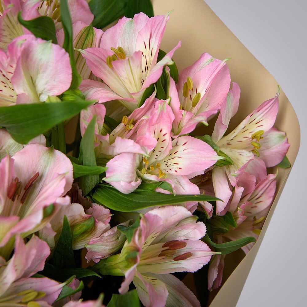 монобукет из 7 розовых альстромерий в упаковке 