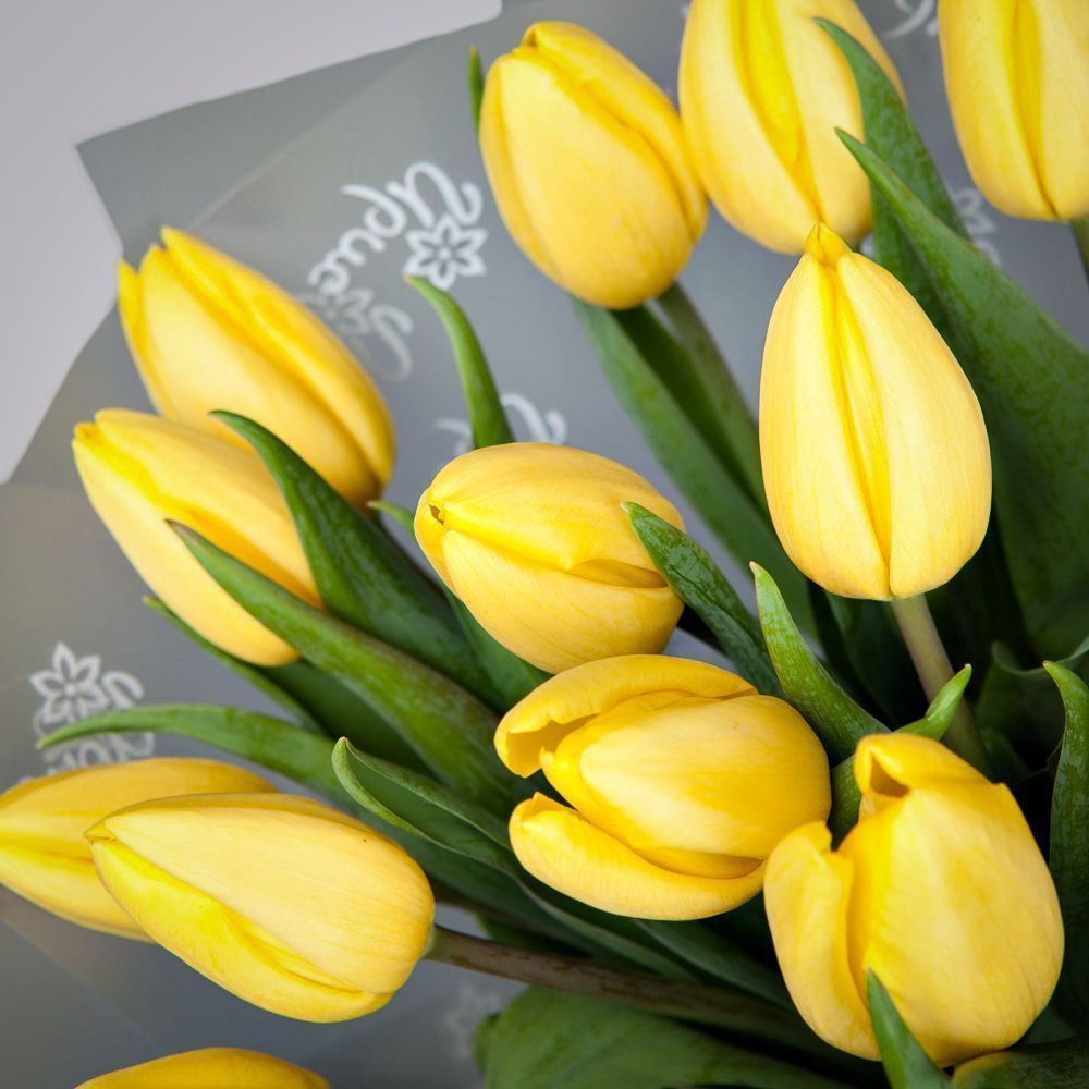 монобукет из 17 желтых тюльпанов в упаковке 