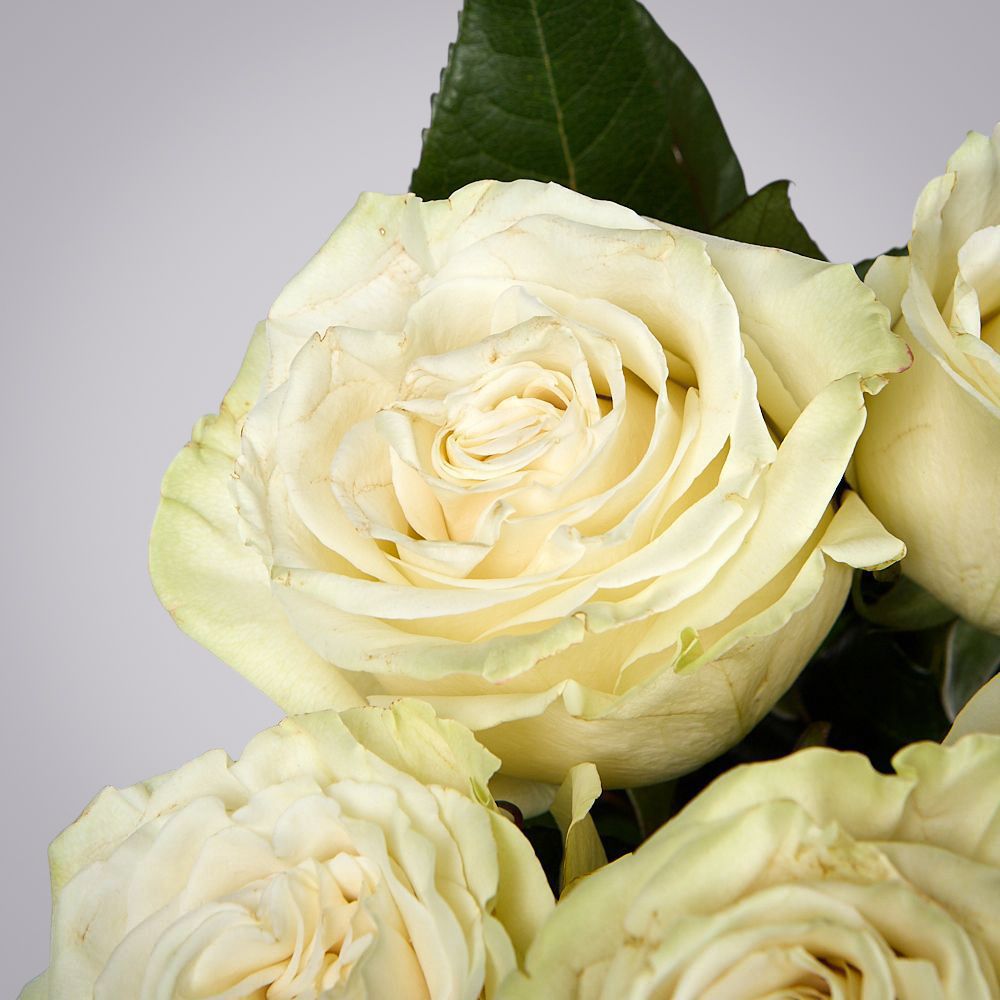 монобукет из 5 роз "mondial" под ленту 