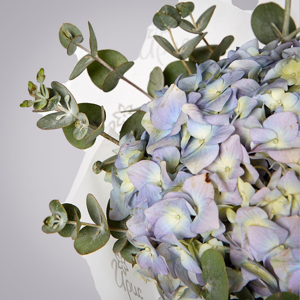 монобукет из голубой гортензии с эвкалиптом  