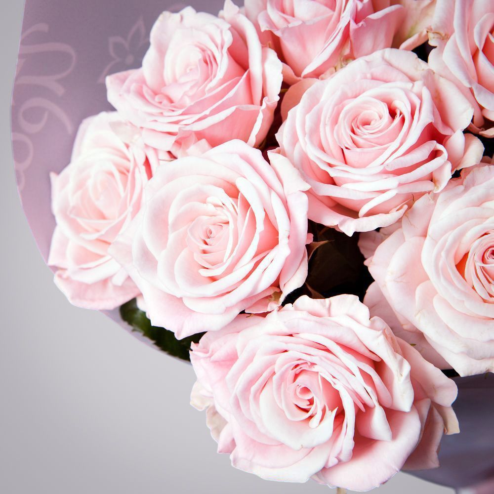 монобукет 3 кустовых роз "aerobic" в упаковке 