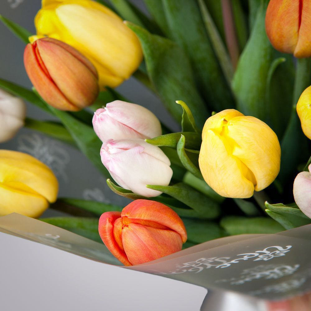 монобукет из 17 тюльпанов микс в упаковке 