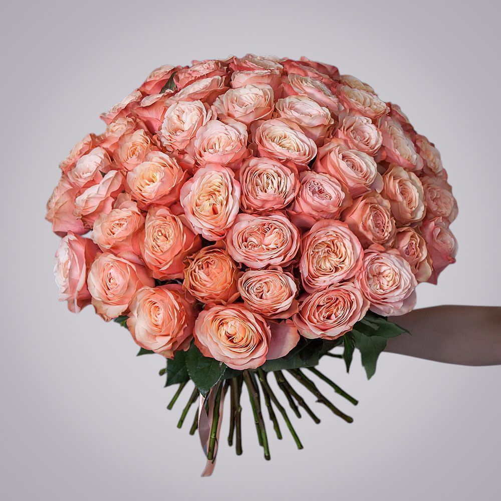 монобукет из 51 пионовидной розы «kahala» под ленту 