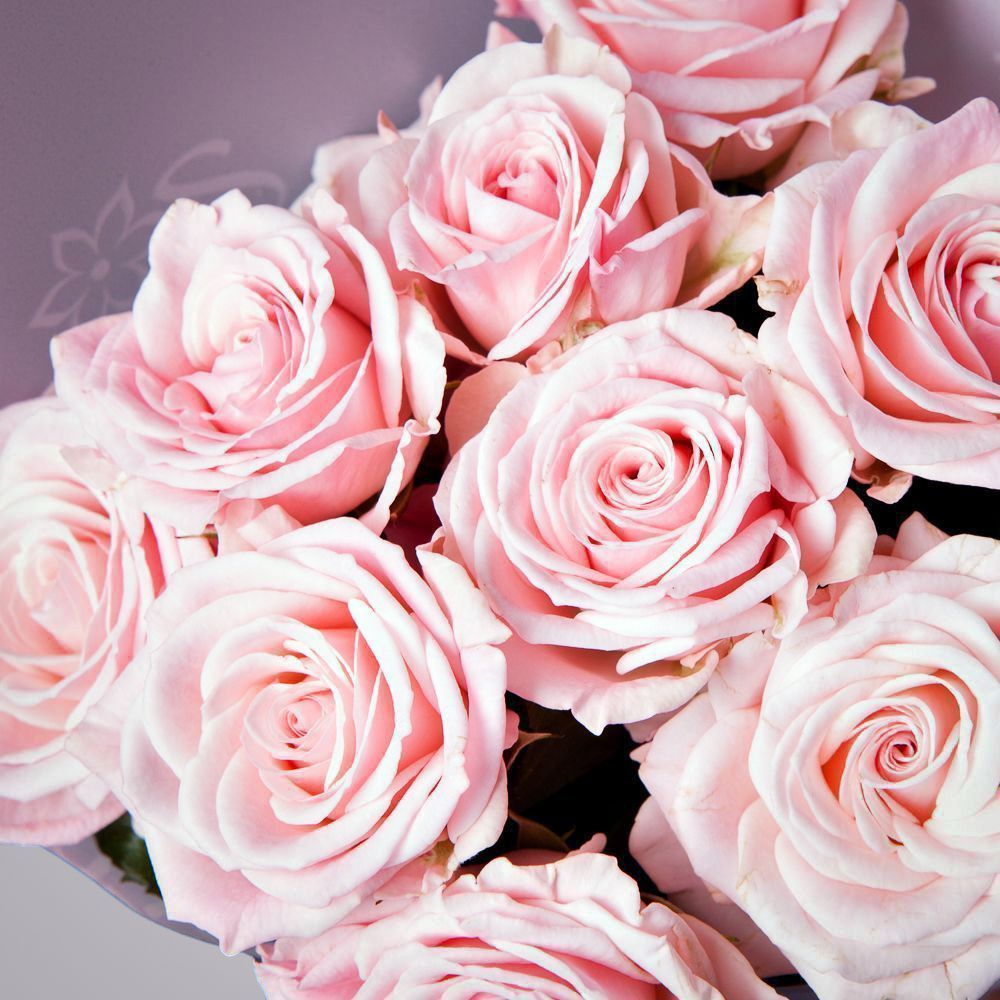 монобукет 3 кустовых роз "aerobic" в упаковке 