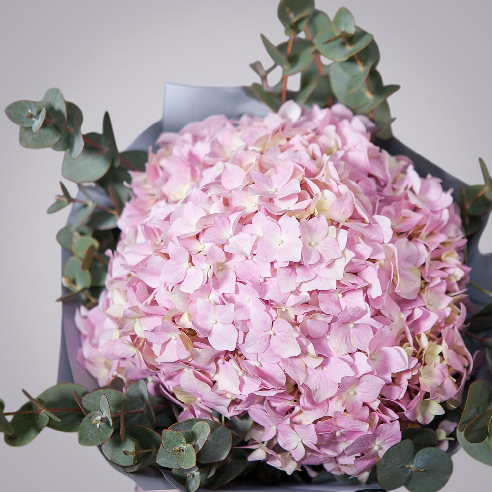 монобукет из нежных розовых гортензий 