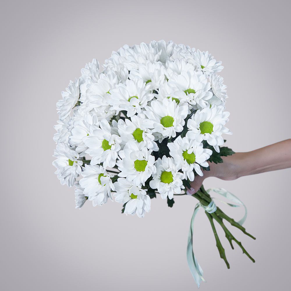 монобукет из 7 кустовых белых хризантем 