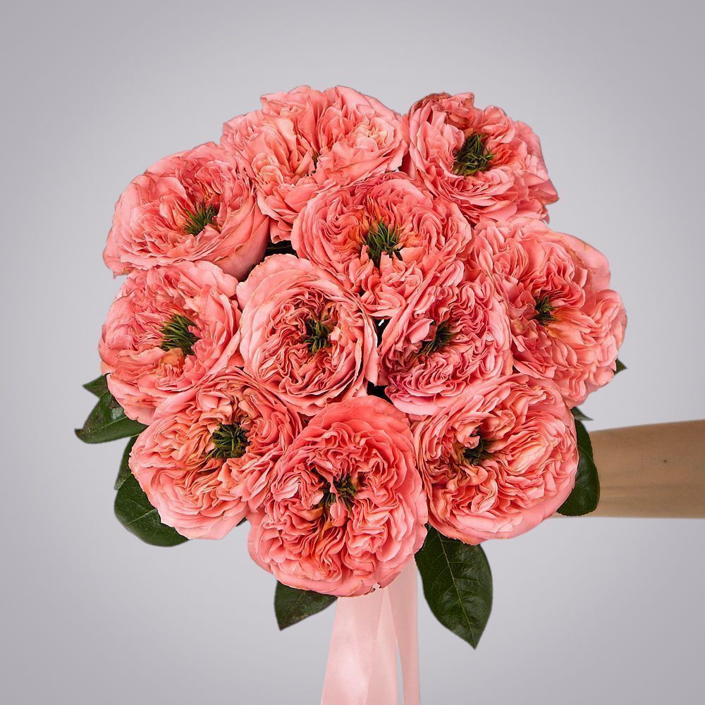 монобукет 11 пионовидных роз "mandarin x-pression" под ленту 