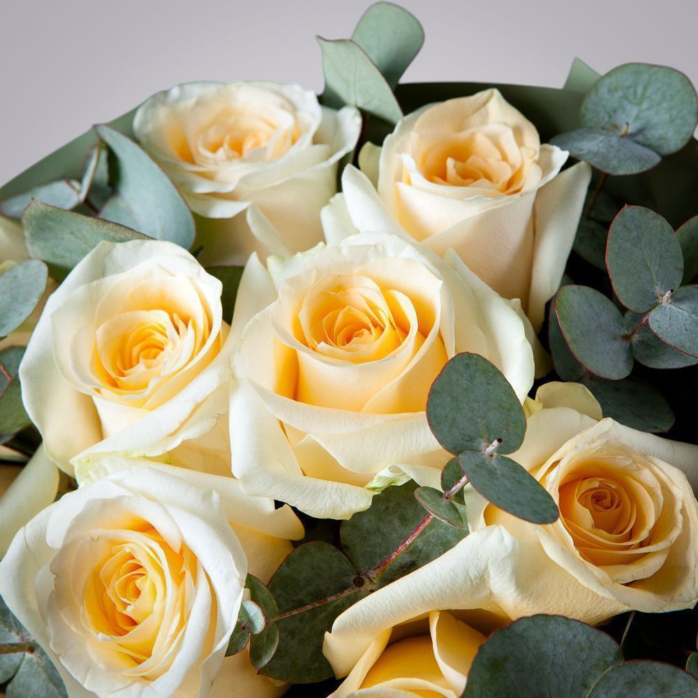 монобукет 11 роз crème de la crème в упаковке 