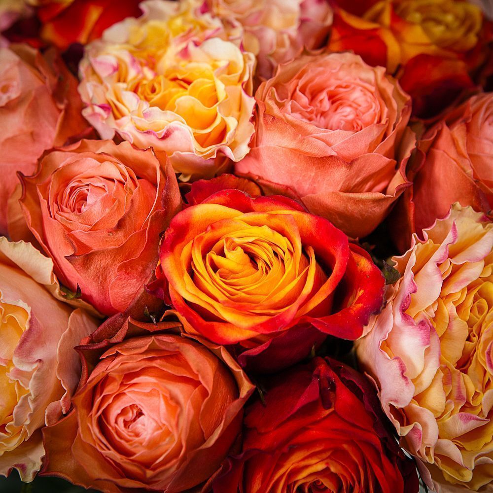 монобукет из 21 роз микс-2 под ленту 