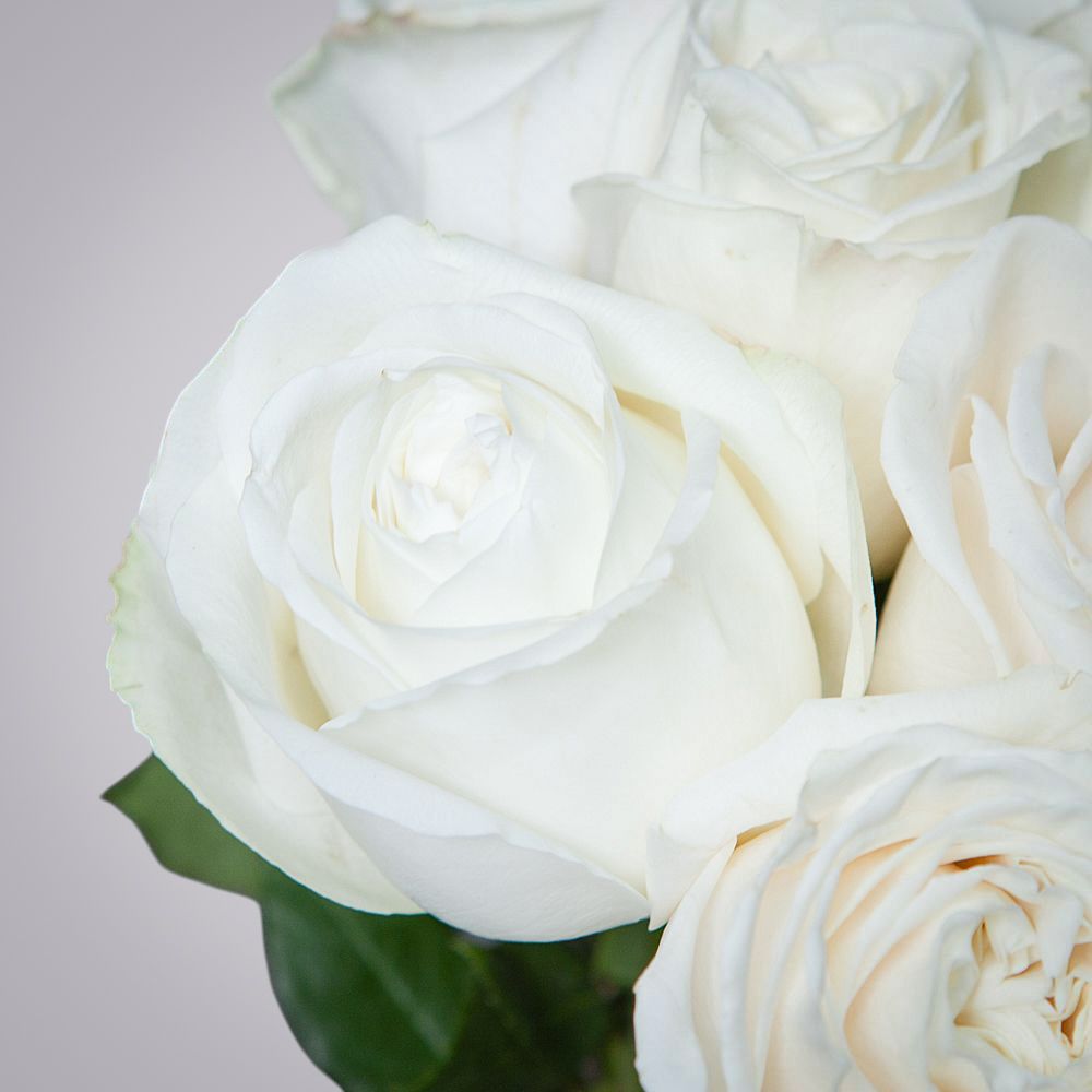 монобукет 7 пионовидных роз "playa blanca" под ленту 